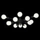 Люстра потолочная ST-Luce  Ano [Черный E27 12*60W]