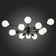 Люстра потолочная ST-Luce  Ano [Черный E27 12*60W]