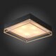 Светильник потолочный ST-Luce Chodo [Черный, Матовое золото/Белый E14 5*40W]