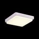 SLE200212-01 Светильник потолочный Белый/Белый LED 1*20W