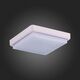 SLE200212-01 Светильник потолочный Белый/Белый LED 1*20W