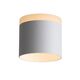 ST102.502.12 Светильник потолочный ST-Luce Белый/Белый LED 1*12W