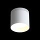 ST102.502.12 Светильник потолочный ST-Luce Белый/Белый LED 1*12W