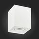 ST109.507.01 Потолочный светильник ST-Luce Матовый белый/Матовый белый GU10 1*50W