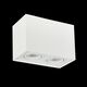 ST109.507.02 Потолочный светильник ST-Luce Матовый белый/Матовый белый GU10 2*50W