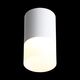 ST100.542.05 Светильник потолочный Белый LED 1*5W 4000K 390Lm Ra>80 120° D64xH110 170-240V
