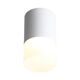 ST100.542.05 Светильник потолочный Белый LED 1*5W 4000K 390Lm Ra>80 120° D64xH110 170-240V