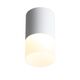 ST100.542.10 Светильник потолочный Белый LED 1*10W 4000K 780Lm Ra>80 120° D78xH135 170-240V