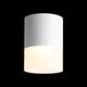 ST100.542.15 Светильник потолочный Белый LED 1*15W 4000K 1 170Lm Ra>80 120° D118xH150 170-240V