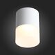 ST100.542.15 Светильник потолочный Белый LED 1*15W 4000K 1 170Lm Ra>80 120° D118xH150 170-240V