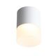 ST100.542.15 Светильник потолочный Белый LED 1*15W 4000K 1 170Lm Ra>80 120° D118xH150 170-240V