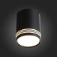 ST101.442.12 Светильник потолочный Черный LED 1*12W 4000K 936Lm Ra>80 120° IP20 D79xH100 170-240V