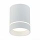 ST115.542.12 Светильник потолочный Белый LED 1*12W 4000K 840Lm Ra>90 120° IP20 D79xH100 170-240V